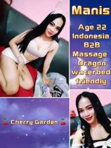 JPEG image 4126 A025 E1 0