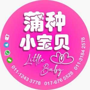 JPEG image 4889 ACD6 B7 0