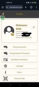 30401 28603 27990 Screenshot2025 08 30 10 38 56 5240deb401b9ffe8e1df2f1cc5ba480b12 1 1 1