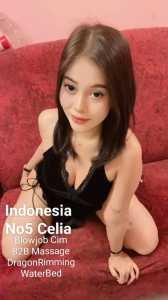 b0c94020 d146 4f7c a0a2 43020dca2bc0